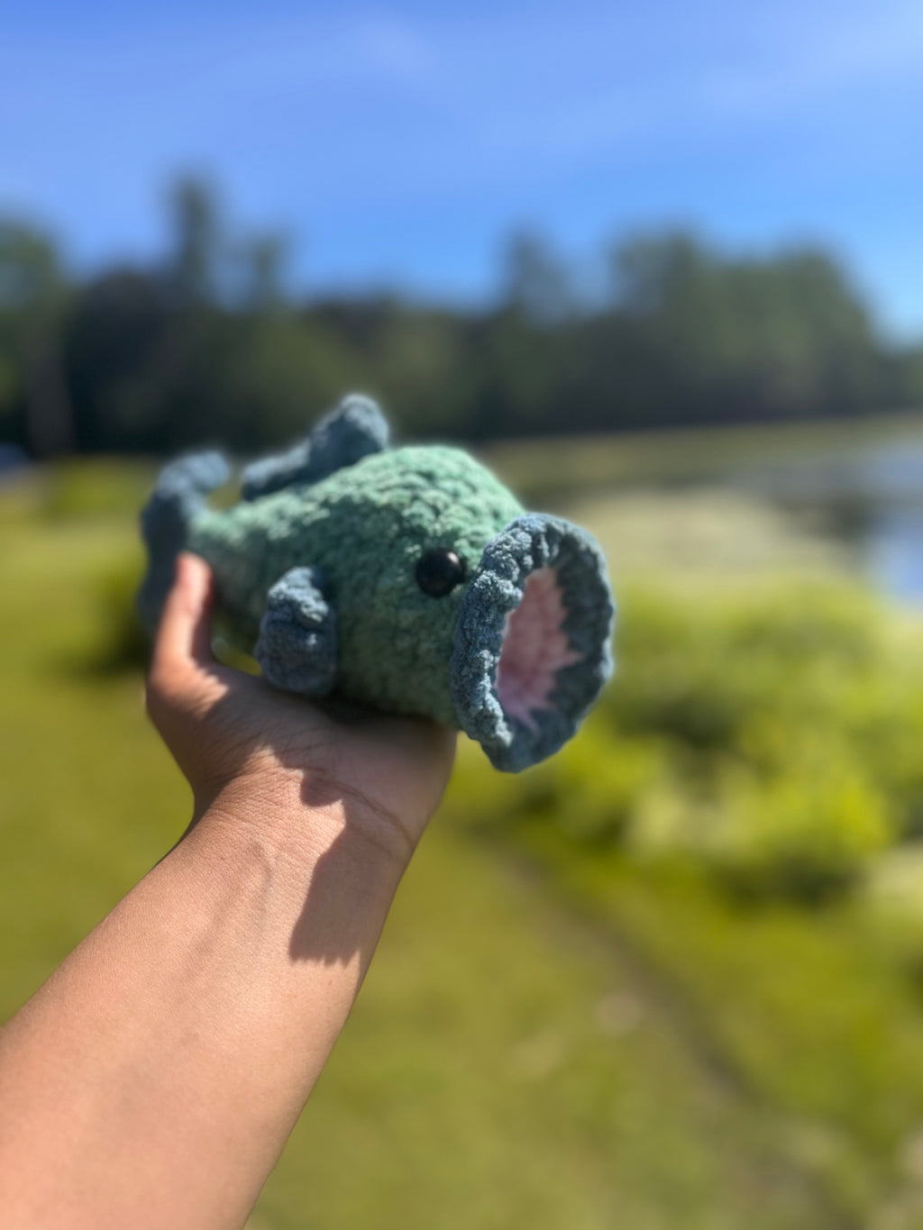 Bass fish