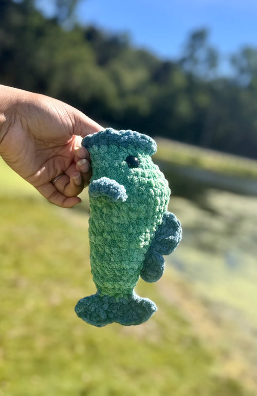 Bass fish