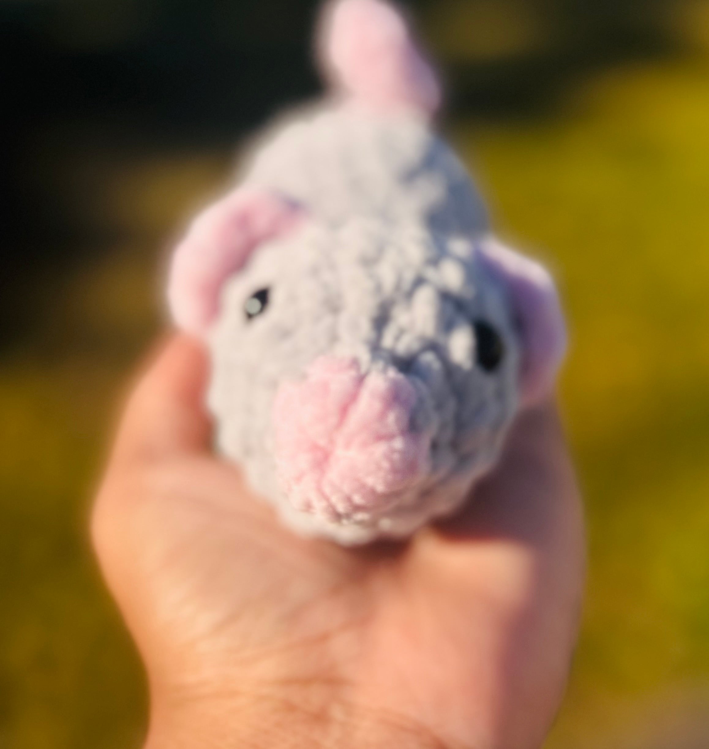 Rat