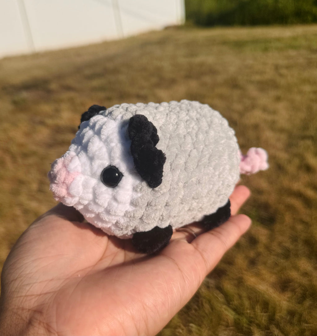 Opossum