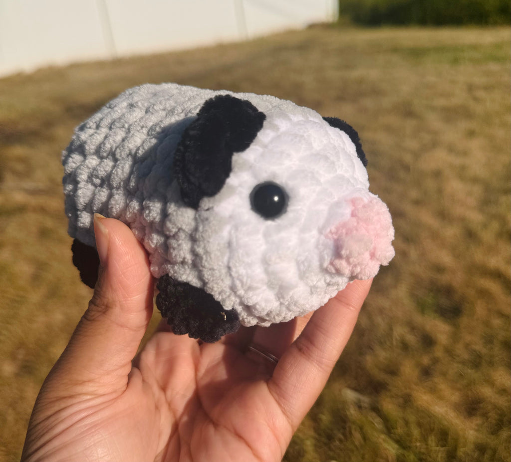 Opossum