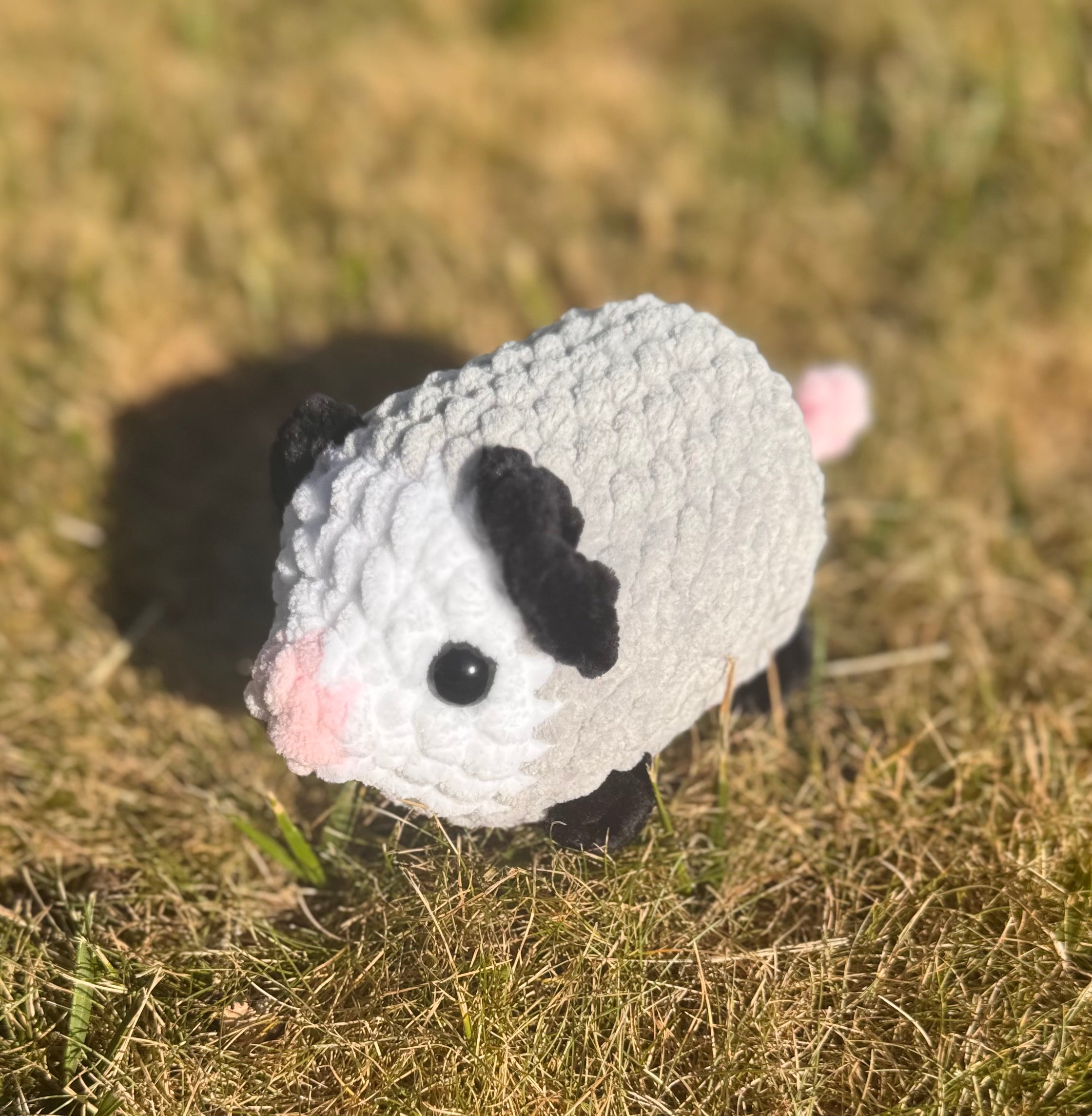 Opossum