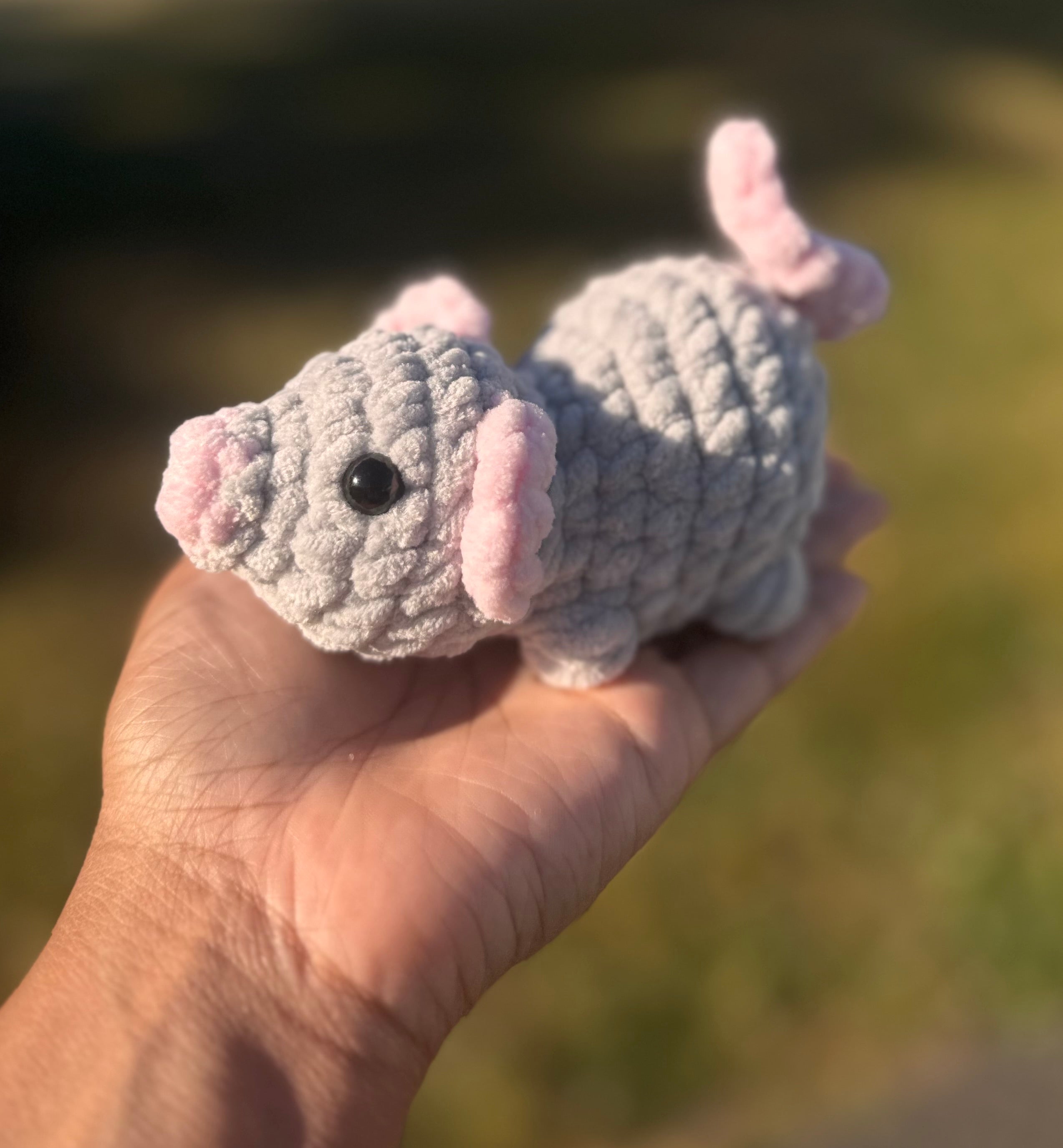 Rat