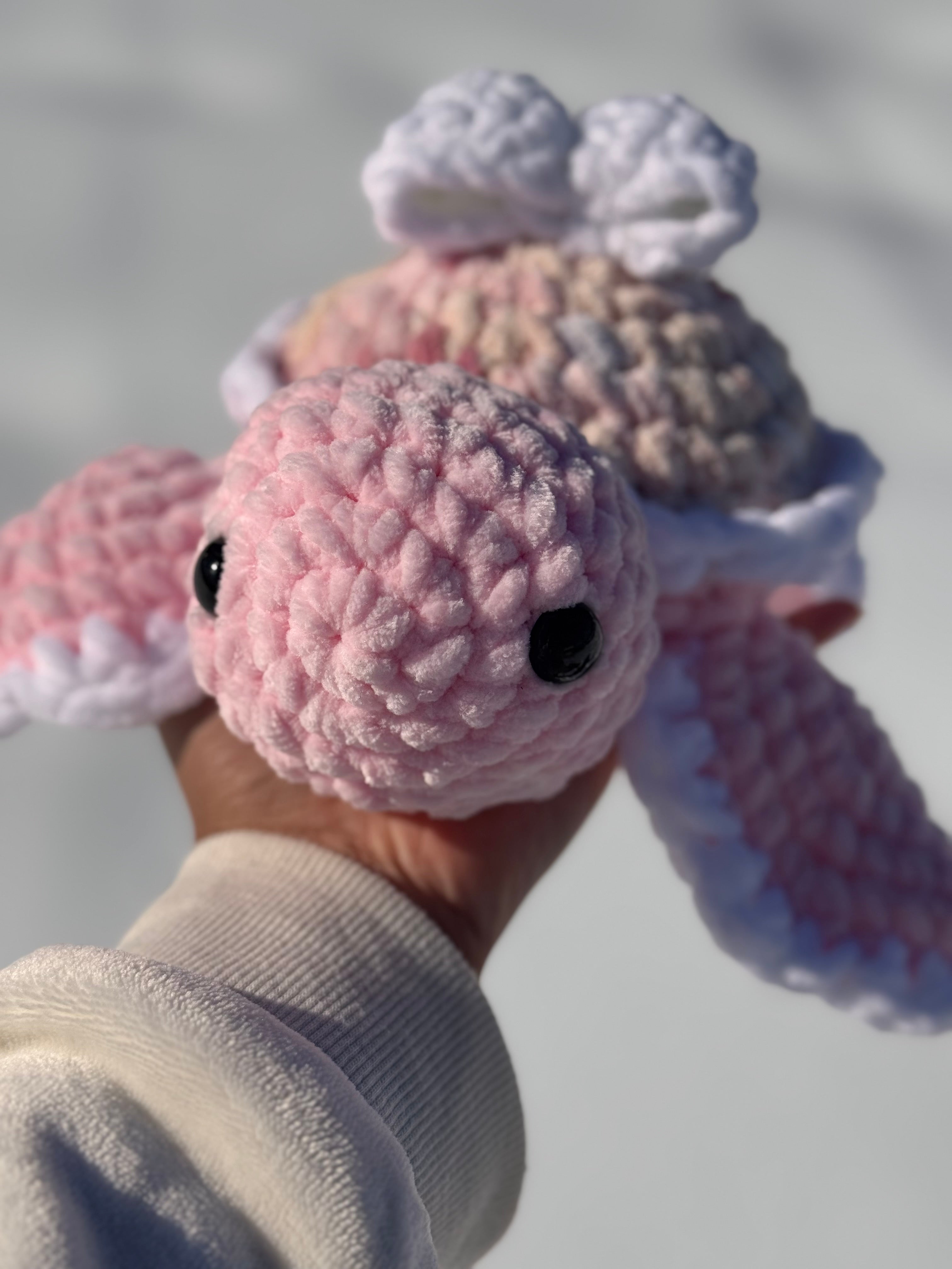 Pink bow turtle