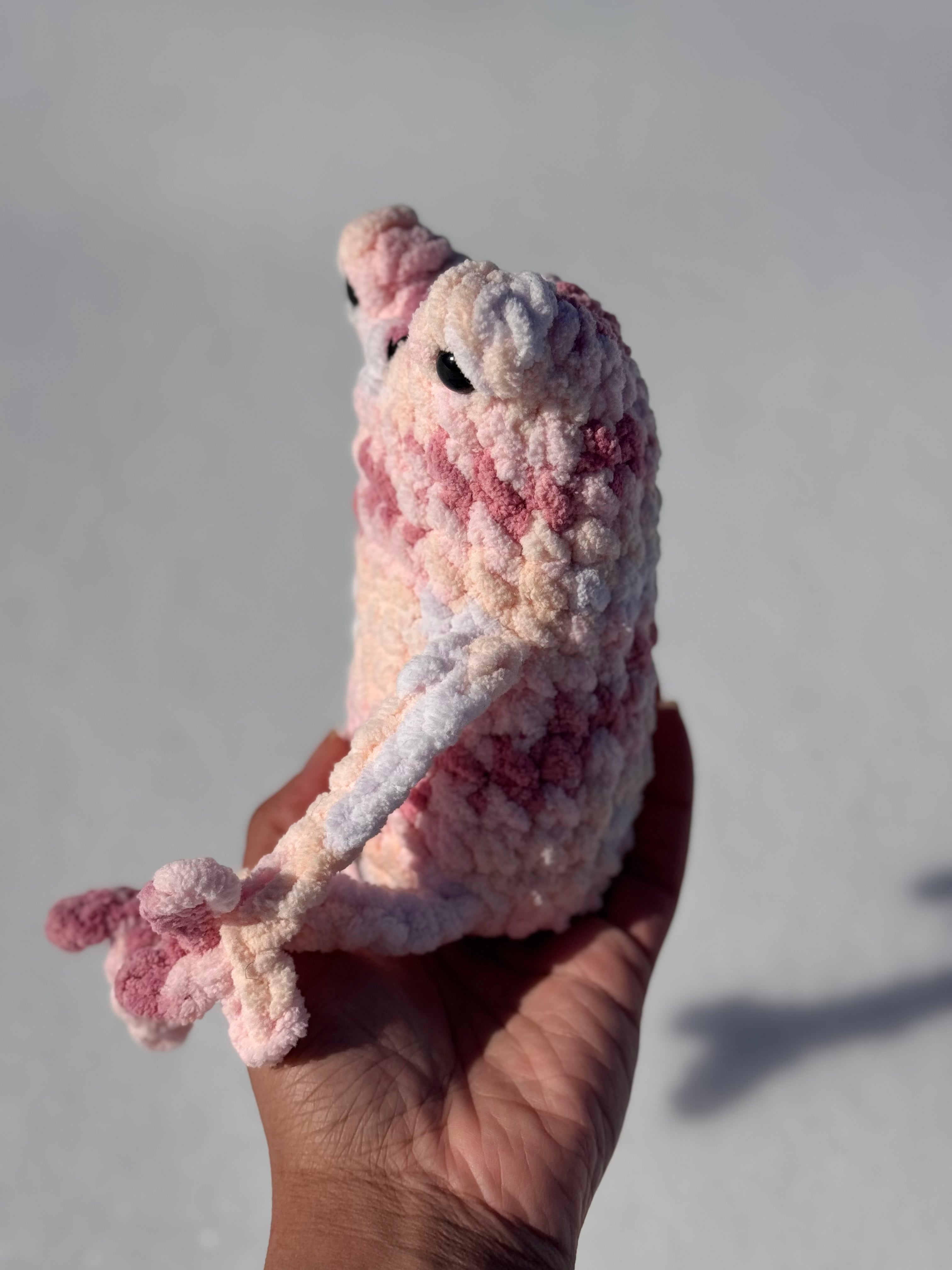 Pink Leggy Frog